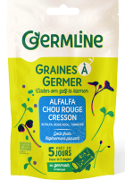 Graines de radis pourpre