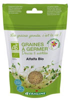 Graines d'alfalfa