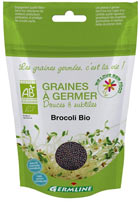 Graines de brocoli