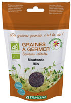 Graines de moutarde