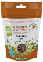 Graines de radis noir