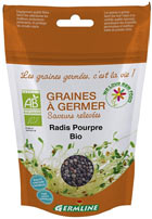 Graines de radis pourpre