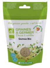 Graines à germer de quinoa