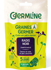 Graines à germer de Radis daikon