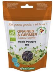 Graines à germer de radis pourpre