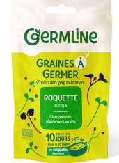 Graines à germer de quinoa
