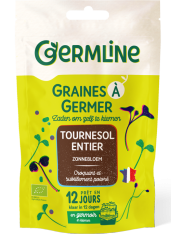 Graines à germer de soja vert