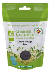 Graines à germer de chou rouge