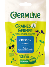 Graines à germer de chou rouge